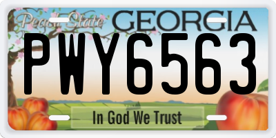 GA license plate PWY6563