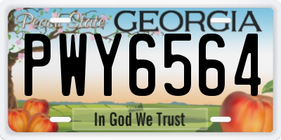 GA license plate PWY6564