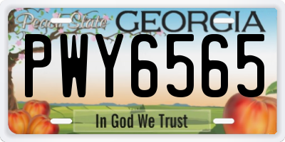 GA license plate PWY6565
