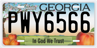 GA license plate PWY6566