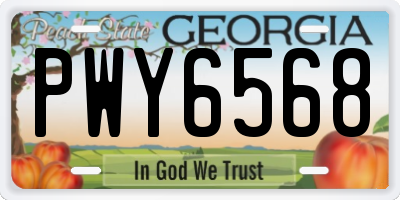 GA license plate PWY6568