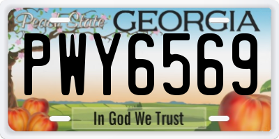 GA license plate PWY6569