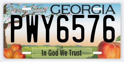 GA license plate PWY6576