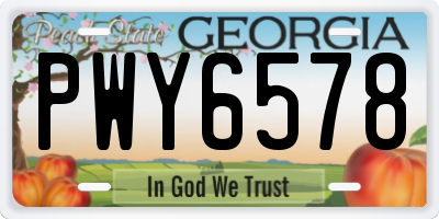 GA license plate PWY6578