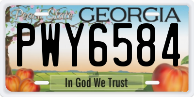 GA license plate PWY6584