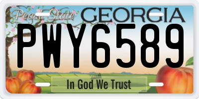 GA license plate PWY6589