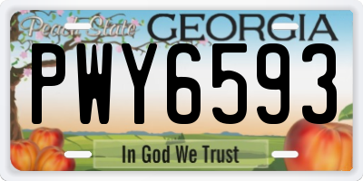 GA license plate PWY6593