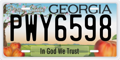 GA license plate PWY6598