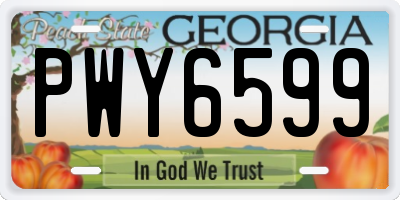 GA license plate PWY6599