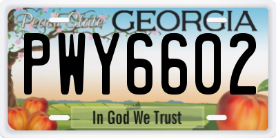 GA license plate PWY6602