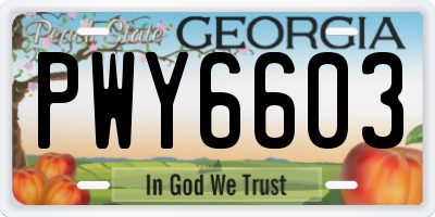 GA license plate PWY6603