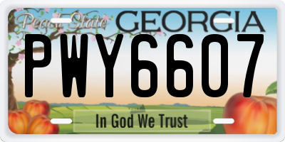 GA license plate PWY6607
