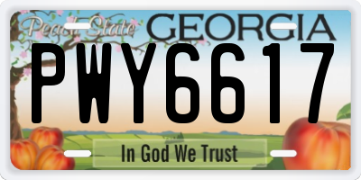 GA license plate PWY6617
