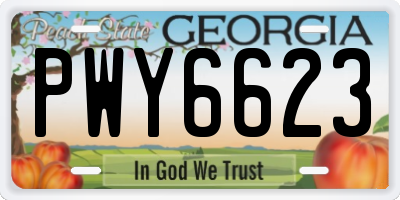 GA license plate PWY6623