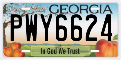 GA license plate PWY6624