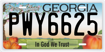 GA license plate PWY6625