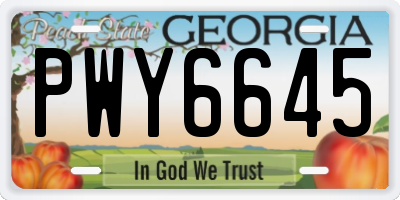 GA license plate PWY6645