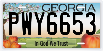 GA license plate PWY6653