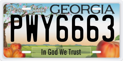 GA license plate PWY6663