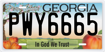 GA license plate PWY6665