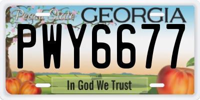 GA license plate PWY6677