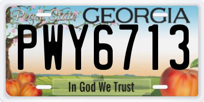GA license plate PWY6713