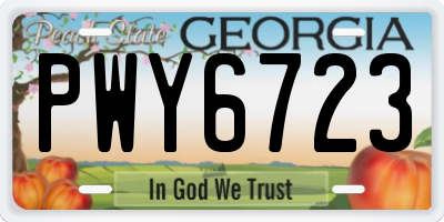 GA license plate PWY6723