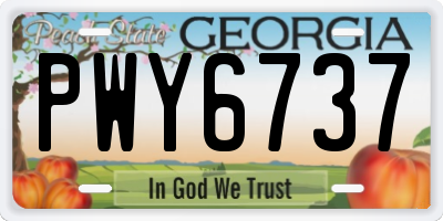 GA license plate PWY6737