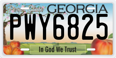 GA license plate PWY6825