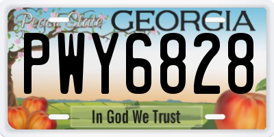 GA license plate PWY6828