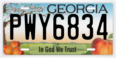 GA license plate PWY6834