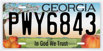 GA license plate PWY6843