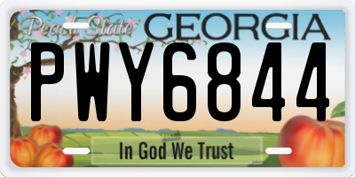 GA license plate PWY6844