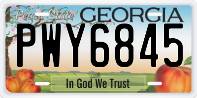 GA license plate PWY6845