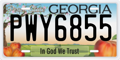 GA license plate PWY6855