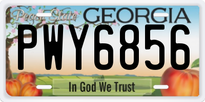 GA license plate PWY6856