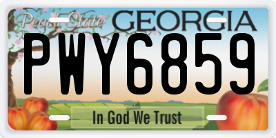 GA license plate PWY6859