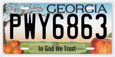 GA license plate PWY6863