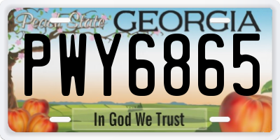 GA license plate PWY6865