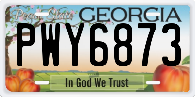 GA license plate PWY6873