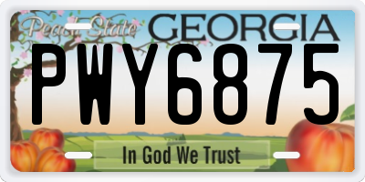 GA license plate PWY6875