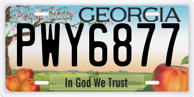 GA license plate PWY6877