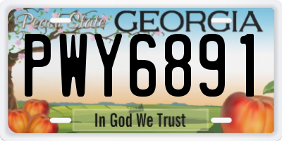 GA license plate PWY6891