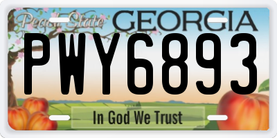 GA license plate PWY6893