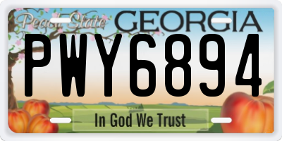 GA license plate PWY6894