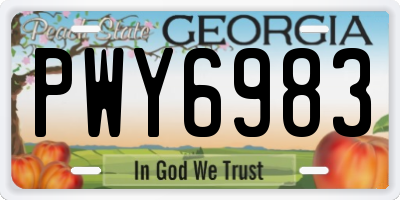 GA license plate PWY6983