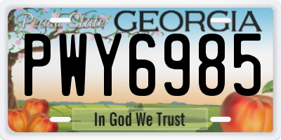 GA license plate PWY6985