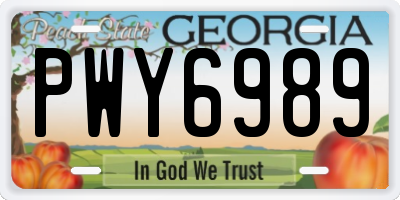 GA license plate PWY6989