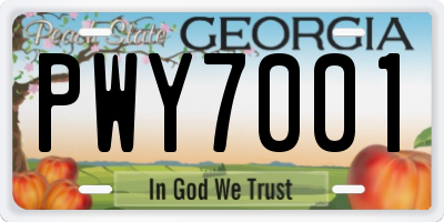 GA license plate PWY7001
