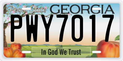 GA license plate PWY7017